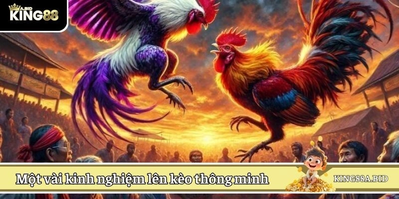 Một vài kinh nghiệm lên kèo thông minh cho bet thủ